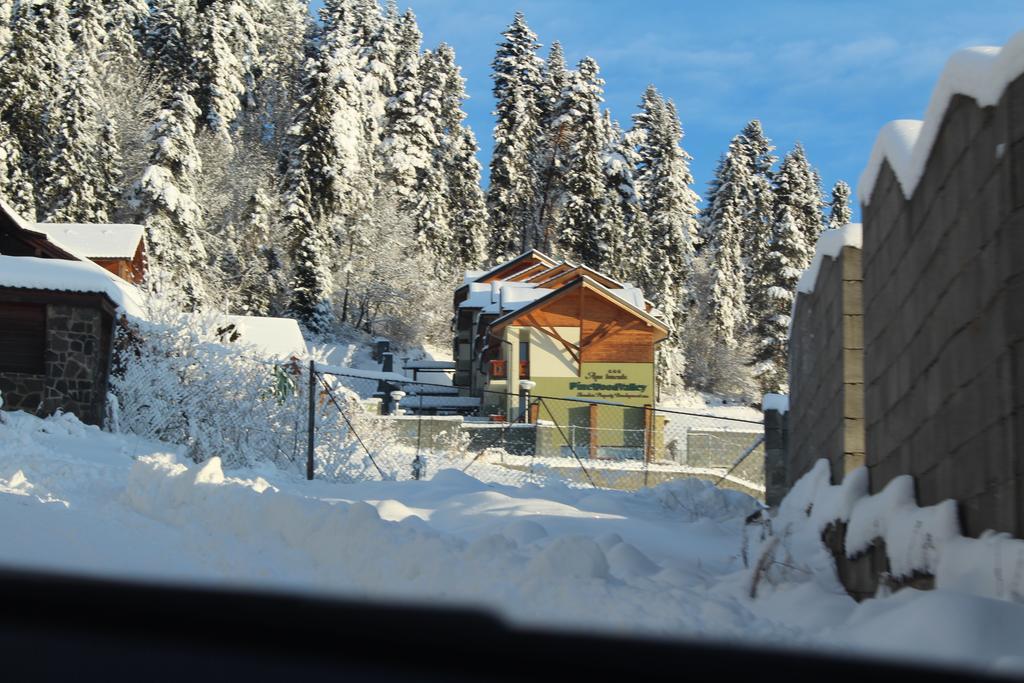 Pine Wood Apartment Vyšné Ružbachy エクステリア 写真