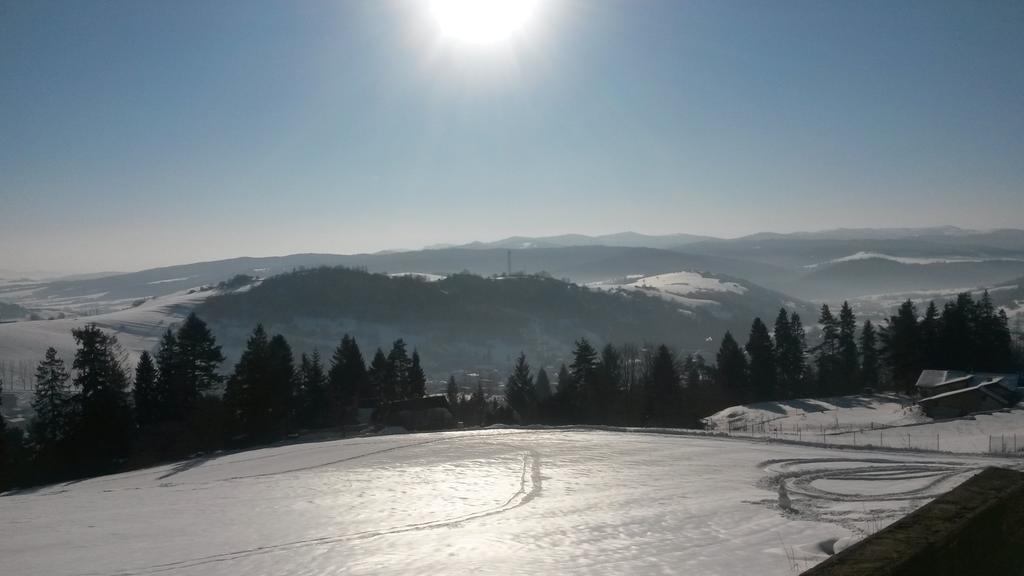 Pine Wood Apartment Vyšné Ružbachy エクステリア 写真